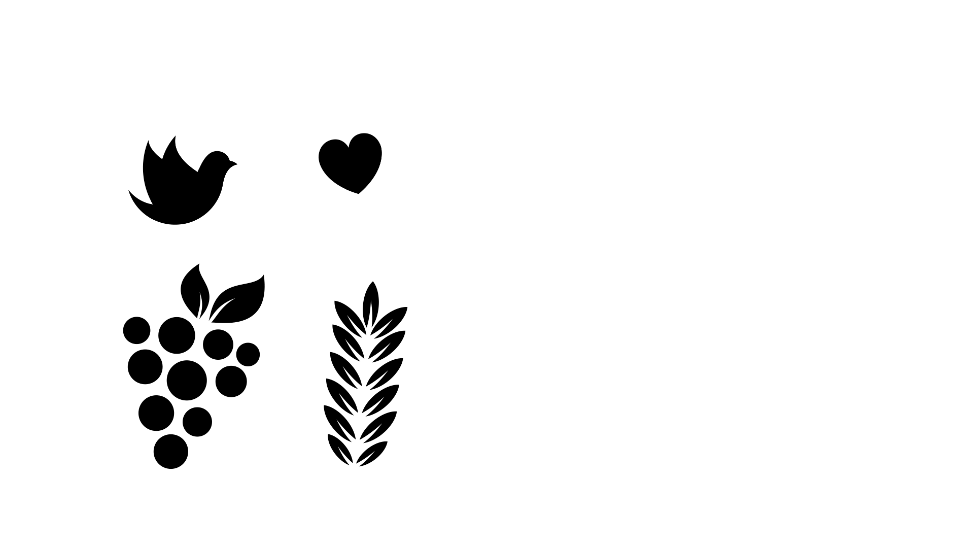 Ministerio Sanador Vino Nuevo